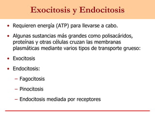 • Requieren energía (ATP) para llevarse a cabo.
• Algunas sustancias más grandes como polisacáridos,
proteínas y otras células cruzan las membranas
plasmáticas mediante varios tipos de transporte grueso:
• Exocitosis
• Endocitosis:
– Fagocitosis
– Pinocitosis
– Endocitosis mediada por receptores
Exocitosis y Endocitosis
 