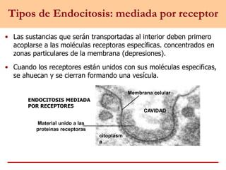Tipos de Endocitosis: mediada por receptor
• Las sustancias que serán transportadas al interior deben primero
acoplarse a las moléculas receptoras específicas. concentrados en
zonas particulares de la membrana (depresiones).
• Cuando los receptores están unidos con sus moléculas especificas,
se ahuecan y se cierran formando una vesícula.
Material unido a las
proteínas receptoras
ENDOCITOSIS MEDIADA
POR RECEPTORES
Membrana celular
CAVIDAD
citoplasm
a
 