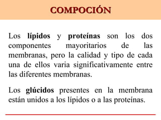 COMPOCIÓN
Los lípidos y proteínas son los dos
componentes mayoritarios de las
membranas, pero la calidad y tipo de cada
una de ellos varia significativamente entre
las diferentes membranas.
Los glúcidos presentes en la membrana
están unidos a los lípidos o a las proteínas.
 