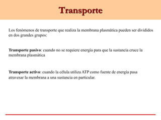Transporte
Los fenómenos de transporte que realiza la membrana plasmática pueden ser divididos
en dos grandes grupos:
Transporte pasivo: cuando no se requiere energía para que la sustancia cruce la
membrana plasmática
Transporte activo: cuando la célula utiliza ATP como fuente de energía pasa
atravesar la membrana a una sustancia en particular.
 