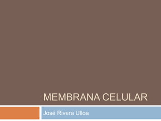MEMBRANA CELULAR
José Rivera Ulloa
 