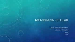MEMBRANA CELULAR
MIGUEL ANGEL GRIJALBA SIERRA
MEDICINA VETERINARIA
UDCA
2016
 