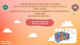 UNIVERSIDAD CENTRAL DEL ECUADOR
FACULTAD DE FILOSOFÍA, LETRAS Y CIENCIAS DE LA
EDUCACIÓN
PEDAGOGÍA DE LAS CIENCIAS EXPERIMENTALES QUÍMICA
Y BIOLOGÍA
SEGUNDO SEMESTRE
BIOLOGÍA CELULAR
Membrana plasmática
Elaborado por:
William López
 