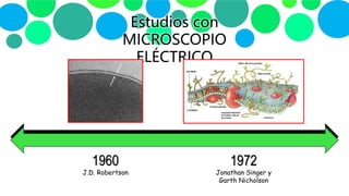Estudios con
MICROSCOPIO
ELÉCTRICO
1960
J.D. Robertson
1972
Jonathan Singer y
Garth Nicholson
 