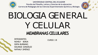 INTEGRANTES:
NOHELY BORJA
SOFIA BURBANO
SOLANGE GONZÁLEZ
NATHALY JIMÉNEZ
BIOLOGIA GENERAL
Y CELULAR
MEMBRANASCELULARES
UNIVERSIDAD CENTRAL DEL ECUADOR
Faculta de Filosofia, Letras y Ciencias de la educacion
Carrera de Pedagogia de las Ciencias Experimentales Quimica y Biologia
CURSO: 1 B
 