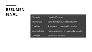RESUMEN
FINAL
Elemento Función Principal
Fosfolípidos Estructura básica, barrera selectiva
Proteínas Transporte, comunicación, anclaje
Carbohidratos Reconocimiento y protección (glucocálix)
Colesterol Estabilidad y fluidez
 