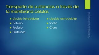 Transporte de sustancias a través de
la membrana celular.
 Líquido intracelular
 Potasio
 Fosfato
 Proteínas
 Líquido extracelular
 Sodio
 Cloro
 