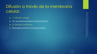 Difusión a través de la membrana
celular.
 1) Difusión simple:
 No requiere proteína transportadora.
 2) Difusión facilitada:
 Requiere proteína transportadora.
 