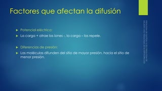 Factores que afectan la difusión
 Potencial eléctrico:
 La carga + atrae los iones -, la carga – los repele.
 Diferencias de presión:
 Las moléculas difunden del sitio de mayor presión, hacia el sitio de
menor presión.
 