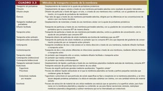 Membrana celular   anestesiologia