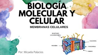 BIOLOGÍA
MOLECULAR Y
CELULAR
MEMBRANAS CELULARES
Por: Micaela Palacios
 