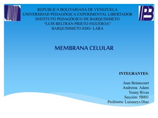 REPUBLICA BOLIVARIANA DE VENEZUELA 
UNIVERSIDAD PEDAGÓGICA EXPERIMENTAL LIBERTADOR 
INSTITUTO PEDAGÓGICO DE BARQUISIMETO 
“LUIS BELTRÁN PRIETO FIGUEROA” 
BARQUISIMETO EDO- LARA 
INTEGRANTES: 
Juan Betancourt 
Andreina Adam 
Yoany Rivas 
Sección: 5BI01 
MEMBRANA CELULAR 
Profesora: Luisaurys Díaz 
 