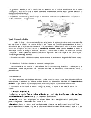 Las proteínas periféricas de la membrana no penetran en el interior hidrofóbico de la bicapa
fosfolipídica, asociándose con la bicapa mediante interacciones débiles en los grupos fosfatos, se
encargas de captar mensajes.
Casi en forma invariable hay proteínas que se encuentran asociadas con carbohidrátos, por lo cual se
las denomina como Glucoproteínas.
Teoría del mosaico fluido
En 1972 Singer y Nicolson describieron la estructura de las membranas celulares y con ello las
descripción de la misma, Las bicapas lipídicas son fluidas, los fosfolípidos individuales se mueven
rápidamente por la superficie bidimensional de la membrana. Esta estructura, que se propone para las
membrana biológicas, se conoce como el modelo de mosaico fluido, donde mosaico se refiere al
hecho que también la integran proteínas, colesterol, y otros tipos de moléculas insertadas entre los
fofolípidos. La descripción de la membrana celular según esta teoría seria que es una bicapa lipídica
fluida semipermeable y selectiva.
La fluidez es una de las características más importantes de las membranas. Depende de factores como :
la temperatura, la fluidez aumenta al aumentar la temperatura.
la naturaleza de los lípidos, la presencia de lípidos insaturados y de cadena corta favorecen el
aumento de fluidez; la presencia de colesterol endurece las membranas, reduciendo su fluidez y
permeabilidad.
Transporte celular
Las células requieren nutrientes del exterior y deben eliminar sustancias de desecho procedentes del
metabolismo y mantener su medio interno estable. La membrana presenta una permeabilidad
selectiva, ya que permite el paso de pequeñas moléculas, y regula el paso de otras moléculas.
Al movimiento de sustancias se le llama transporte celular y se divide en dos tipos: el activo y el
pasivo:
El transporte pasivo:
Es el paso de soluto favor del gradiente, es decir, de donde hay más hacia el
medio donde hay menos, y no requiere de energía
Difusión. Es el paso de pequeñas moléculas a favor del gradiente ejemplo el
perfume que se difunde en una habitación
Dialisis cuando el soluto y el disolvente se mueve a través de una una bicapa
lipídica (membrana celular). Es el proceso que sucede en los riñones y con el cual
 