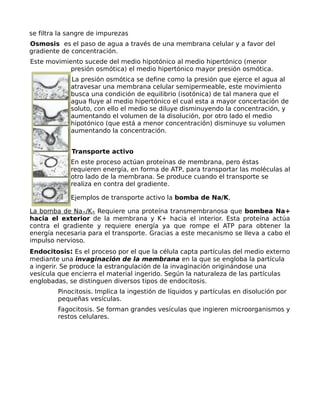 se filtra la sangre de impurezas
Osmosis es el paso de agua a través de una membrana celular y a favor del
gradiente de concentración.
Este movimiento sucede del medio hipotónico al medio hipertónico (menor
presión osmótica) el medio hipertónico mayor presión osmótica.
La presión osmótica se define como la presión que ejerce el agua al
atravesar una membrana celular semipermeable, este movimiento
busca una condición de equilibrio (isotónica) de tal manera que el
agua fluye al medio hipertónico el cual esta a mayor concertación de
soluto, con ello el medio se diluye disminuyendo la concentración, y
aumentando el volumen de la disolución, por otro lado el medio
hipotónico (que está a menor concentración) disminuye su volumen
aumentando la concentración.
Transporte activo
En este proceso actúan proteínas de membrana, pero éstas
requieren energía, en forma de ATP, para transportar las moléculas al
otro lado de la membrana. Se produce cuando el transporte se
realiza en contra del gradiente.
Ejemplos de transporte activo la bomba de Na/K,
La bomba de Na+/K+ Requiere una proteína transmembranosa que bombea Na+
hacia el exterior de la membrana y K+ hacia el interior. Esta proteína actúa
contra el gradiente y requiere energía ya que rompe el ATP para obtener la
energía necesaria para el transporte. Gracias a este mecanismo se lleva a cabo el
impulso nervioso.
Endocitosis: Es el proceso por el que la célula capta partículas del medio externo
mediante una invaginación de la membrana en la que se engloba la partícula
a ingerir. Se produce la estrangulación de la invaginación originándose una
vesícula que encierra el material ingerido. Según la naturaleza de las partículas
englobadas, se distinguen diversos tipos de endocitosis.
Pinocitosis. Implica la ingestión de líquidos y partículas en disolución por
pequeñas vesículas.
Fagocitosis. Se forman grandes vesículas que ingieren microorganismos y
restos celulares.
 