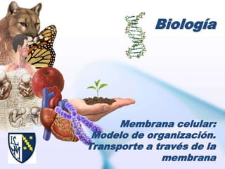 Biología




      Membrana celular:
 Modelo de organización.
Transporte a través de la
              membrana
 