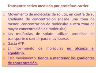 Transporte activo mediado por proteínas carrier

o Movimiento de moléculas de soluto, en contra de su
  gradiente de concentración (desde una zona de
  menor concentración de moléculas a otra zona de
  mayor concentración de moléculas).
o Las moléculas de soluto utilizan proteínas de
  transporte o carrier para movilizarse.
o Gasta ATP.
o El movimiento de moléculas no alcanza el
  equilibrio.
o Este movimiento, tiende a mantener los gradientes
  de concentración.
 