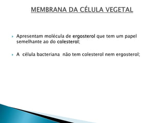  Apresentam molécula de ergosterol que tem um papel
semelhante ao do colesterol;
 A célula bacteriana não tem colesterol nem ergosterol;
 