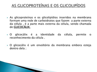  As glicoproteínas e os glicolipídios inseridos na membrana
formam uma rede de carboidratos que fazem a parte externa
da célula , é a parte mais externa da célula, sendo chamada
de GLICOCÁLIX.
 O glicocálix é a identidade da célula, permite o
reconhecimento da célula .
 O glicocálix é um envoltório da membrana embora esteja
dentro dela ;
 