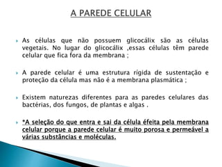  As células que não possuem glicocálix são as células
vegetais. No lugar do glicocálix ,essas células têm parede
celular que fica fora da membrana ;
 A parede celular é uma estrutura rígida de sustentação e
proteção da célula mas não é a membrana plasmática ;
 Existem naturezas diferentes para as paredes celulares das
bactérias, dos fungos, de plantas e algas .
 *A seleção do que entra e sai da célula éfeita pela membrana
celular porque a parede celular é muito porosa e permeável a
várias substâncias e moléculas.
 