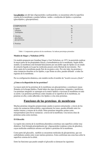 Los glúcidos son del tipo oligosacáridos o polisacáridos; se encuentran sobre la superficie
 externa de la membrana y pueden hallarse unidos a moléculas de lípidos o a proteínas
 (glucolípidos y glucoproteínas).


COMPONENTE                                                                         %
1. Lípidos                                                                         46
   colesterol                                                                      22
    fosfolípidos                                                                   20

2. Glúcidos                                                                        8
   glucolípidos                                                                    6
   glucoproteínas                                                                  2

                                                                                   46
3. Proteínas



        Tabla 1: Componentes químicos de las membranas. Se indican porcentajes promedios

 Modelo de Singer y Nicholson (1972)

 Un modelo propuesto por Jonathan Singer y Gart Nicholson, en 1972, ha permitido explicar
 la mayor parte de las propiedades físicas y termodinámicas de la membrana. Según dicho
 modelo, la membrana está formada básicamente por una doble capa de lípidos en un estado
 de solución líquida en la que las moléculas poseen cierta libertad de movimiento. Por
 tanto, parte de la membrana puede fluir de un punto a otro. Por otro lado, las proteínas y
 otras sustancias disueltas en los lípidos, o que flotan en ellos, pueden difundir a todas las
 regiones de la membrana.

 Por su configuración dinámica, este modelo recibe el nombre de "modelo mosaico fluido"

 ¿Cómo es la disposición de las proteínas?

 La mayor parte de las proteínas de la membrana son glucoproteínas y constituyen masas
 flotantes en la bicapa lipídica. Puede haber dos tipos de proteínas: integrales y periféricas.
 Las proteínas integrales se sumergen en la matriz lipídica o traviesan la membrana en todo
 su ancho. Las proteínas periféricas están situadas en la superficie de la membrana, no
 penetran en ella y están adheridas a los lípidos o a las otras proteínas.

                   Funciones de las proteínas de membrana
 Muchas proteínas integrales proporcionan canales (o poros) estructurales a través de los
 cuales las sustancias hidrosolubles, especialmente los iones, pueden difundir entre los
 medios interno y externo de la célula. Otras proteínas integrales actúan como
 transportadores para llevar sustancias a través de la membrana. Una tercera clase de
 proteínas actúa como enzimas.

 El Glicocáliz

 La región más externa de la membrana plasmática constituye una superficie celular muy
 dinámica. Está formada principalmente por oligosacáridos (cadenas cortas de glúcidos),
 cuyas moléculas establecen uniones con lípidos o proteínas de la membrana.

 Como parte del glicocáliz, también se encuentran moléculas de glicoproteínas, que son
 carbohidratos unidos entre sí por núcleos proteicos. Estos conforman una zona laxa sobre la
 superficie externa de la célula.

 Entre las funciones que puede cumplir el glicocáliz se destacan las siguientes:
 