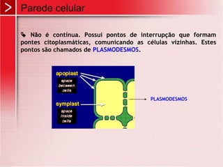 Parede celular

 Não é contínua. Possui pontos de interrupção que formam
pontes citoplasmáticas, comunicando as células vizinhas. Estes
pontos são chamados de PLASMODESMOS.




                                         PLASMODESMOS
 