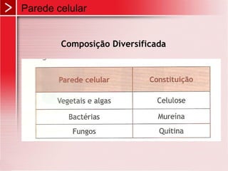 Parede celular


        Composição Diversificada
 