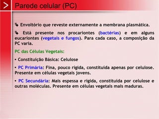 Parede celular (PC)
 Envoltório que reveste externamente a membrana plasmática.
 Está presente nos procariontes (bactérias) e em alguns
eucariontes (vegetais e fungos). Para cada caso, a composição da
PC varia.
PC das Células Vegetais:
 Constituição Básica: Celulose
 PC Primária: Fina, pouco rígida, constituída apenas por celulose.
Presente em células vegetais jovens.
 PC Secundária: Mais espessa e rígida, constituída por celulose e
outras moléculas. Presente em células vegetais mais maduras.
 