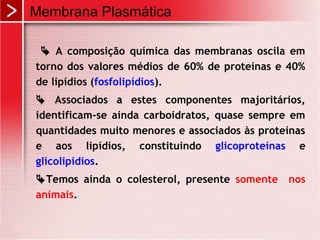  A composição química das membranas oscila em
torno dos valores médios de 60% de proteínas e 40%
de lipídios (fosfolipídios).
 Associados a estes componentes majoritários,
identificam-se ainda carboidratos, quase sempre em
quantidades muito menores e associados às proteínas
e aos lipídios, constituindo glicoproteínas e
glicolipídios.
Temos ainda o colesterol, presente somente nos
animais.
Membrana Plasmática
 