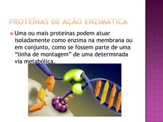 Uma ou mais proteínas podem atuar
isoladamente como enzima na membrana ou
em conjunto, como se fossem parte de uma
“linha de montagem” de uma determinada
via metabólica.
 