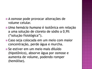  A osmose pode provocar alterações de
volume celular.
 Uma hemácia humana é isotônica em relação
a uma solução de cloreto de sódio a 0,9%
(“solução fisiológica”).
 Caso seja colocada em um meio com maior
concentração, perde água e murcha.
 Se estiver em um meio mais diluído
(hipotônico), absorve água por osmose e
aumenta de volume, podendo romper
(hemólise).
 