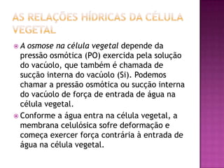  A osmose na célula vegetal depende da
pressão osmótica (PO) exercida pela solução
do vacúolo, que também é chamada de
sucção interna do vacúolo (Si). Podemos
chamar a pressão osmótica ou sucção interna
do vacúolo de força de entrada de água na
célula vegetal.
 Conforme a água entra na célula vegetal, a
membrana celulósica sofre deformação e
começa exercer força contrária à entrada de
água na célula vegetal.
 