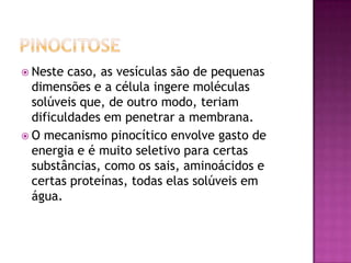  Neste caso, as vesículas são de pequenas
dimensões e a célula ingere moléculas
solúveis que, de outro modo, teriam
dificuldades em penetrar a membrana.
 O mecanismo pinocítico envolve gasto de
energia e é muito seletivo para certas
substâncias, como os sais, aminoácidos e
certas proteínas, todas elas solúveis em
água.
 