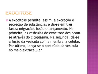  A exocitose permite, assim, a excreção e
secreção de substâncias e dá-se em três
fases: migração, fusão e lançamento. Na
primeira, as vesículas de exocitose deslocam-
se através do citoplasma. Na segunda, dá-se
a fusão da vesícula com a membrana celular.
Por último, lança-se o conteúdo da vesícula
no meio extracelular.
 