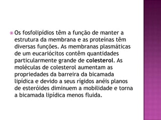  Os fosfolipídios têm a função de manter a
estrutura da membrana e as proteínas têm
diversas funções. As membranas plasmáticas
de um eucariócitos contêm quantidades
particularmente grande de colesterol. As
moléculas de colesterol aumentam as
propriedades da barreira da bicamada
lipídica e devido a seus rígidos anéis planos
de esteróides diminuem a mobilidade e torna
a bicamada lipídica menos fluida.
 