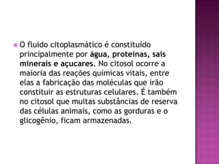  O fluido citoplasmático é constituído
principalmente por água, proteínas, sais
minerais e açucares. No citosol ocorre a
maioria das reações químicas vitais, entre
elas a fabricação das moléculas que irão
constituir as estruturas celulares. É também
no citosol que muitas substâncias de reserva
das células animais, como as gorduras e o
glicogênio, ficam armazenadas.
 