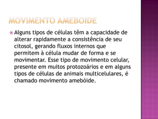  Alguns tipos de células têm a capacidade de
alterar rapidamente a consistência de seu
citosol, gerando fluxos internos que
permitem à célula mudar de forma e se
movimentar. Esse tipo de movimento celular,
presente em muitos protozoários e em alguns
tipos de células de animais multicelulares, é
chamado movimento amebóide.
 