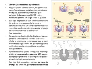 • Carriers (acarreadores) o permeasas: 
• Al igual que los canales iónicos, las permeasas 
están formadas por proteínas transmembrana 
multipaso. Suelen transportar una gran 
variedad de iones como el HCO3- y otras 
moléculas polares sin carga como la glucosa. 
• Este tipo de proteínas fijan una única molécula 
de sustrato (o unas pocas) a la vez, y a 
continuación sufren un cambio conformacional 
reversible que les permite transportar el soluto 
de un lado al otro de la membrana 
(translocación). 
• Para entender la difusión facilitada no hay que 
pensar si una sustancia “entra o sale” de la 
célula, lo importante es considerar que se está 
movilizando algo a favor del gradiente (químico 
o eléctrico) gracias a la acción de proteínas 
transportadoras. 
• Por esta razón es que no se requiere de energía 
adicional, no se requiere gasto de ATP, ya que 
es el propio gradiente el que impulsa el pasaje 
a través de los transportadores. 
• Este tipo de transporte es siempre sin gasto de 
energía y a favor del gradiente electroquímico 
 