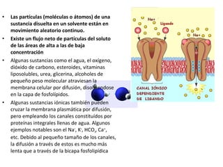 • Las partículas (moléculas o átomos) de una 
sustancia disuelta en un solvente están en 
movimiento aleatorio continuo. 
• Existe un flujo neto de partículas del soluto 
de las áreas de alta a las de baja 
concentración 
• Algunas sustancias como el agua, el oxígeno, 
dióxido de carbono, esteroides, vitaminas 
liposolubles, urea, glicerina, alcoholes de 
pequeño peso molecular atraviesan la 
membrana celular por difusión, disolviendose 
en la capa de fosfolípidos. 
• Algunas sustancias iónicas también pueden 
cruzar la membrana plasmática por difusión, 
pero empleando los canales constituídos por 
proteínas integrales llenas de agua. Algunos 
ejemplos notables son el Na+, K+, HCO3, Ca++, 
etc. Debido al pequeño tamaño de los canales, 
la difusión a través de estos es mucho más 
lenta que a través de la bicapa fosfolipídica 
 
