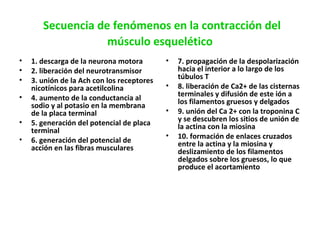 Secuencia de fenómenos en la contracción del 
músculo esquelético 
• 1. descarga de la neurona motora 
• 2. liberación del neurotransmisor 
• 3. unión de la Ach con los receptores 
nicotínicos para acetilcolina 
• 4. aumento de la conductancia al 
sodio y al potasio en la membrana 
de la placa terminal 
• 5. generación del potencial de placa 
terminal 
• 6. generación del potencial de 
acción en las fibras musculares 
• 7. propagación de la despolarización 
hacia el interior a lo largo de los 
túbulos T 
• 8. liberación de Ca2+ de las cisternas 
terminales y difusión de este ión a 
los filamentos gruesos y delgados 
• 9. unión del Ca 2+ con la troponina C 
y se descubren los sitios de unión de 
la actina con la miosina 
• 10. formación de enlaces cruzados 
entre la actina y la miosina y 
deslizamiento de los filamentos 
delgados sobre los gruesos, lo que 
produce el acortamiento 
 