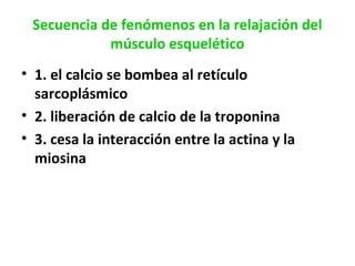 Secuencia de fenómenos en la relajación del 
músculo esquelético 
• 1. el calcio se bombea al retículo 
sarcoplásmico 
• 2. liberación de calcio de la troponina 
• 3. cesa la interacción entre la actina y la 
miosina 
 