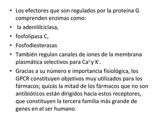 • Los efectores que son regulados por la proteína G 
comprenden enzimas como: 
• la adenililciclasa, 
• fosfolipasa C, 
• Fosfodiesterasas 
• También regulan canales de iones de la membrana 
plasmática selectivos para Ca2+ y K+. 
• Gracias a su número e importancia fisiológica, los 
GPCR constituyen objetivos muy utilizados para los 
fármacos; quizás la mitad de los fármacos que no son 
antibióticos están dirigidos hacia estos receptores, 
que constituyen la tercera familia más grande de 
genes en el ser humano. 
 