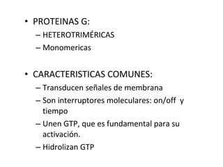 • PROTEINAS G: 
– HETEROTRIMÉRICAS 
– Monomericas 
• CARACTERISTICAS COMUNES: 
– Transducen señales de membrana 
– Son interruptores moleculares: on/off y 
tiempo 
– Unen GTP, que es fundamental para su 
activación. 
– Hidrolizan GTP 
 