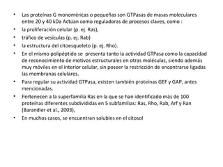 • Las proteínas G monoméricas o pequeñas son GTPasas de masas moleculares 
entre 20 y 40 kDa Actúan como reguladoras de procesos claves, como : 
• la proliferación celular (p. ej. Ras), 
• tráfico de vesículas (p. ej. Rab) 
• la estructura del citoesqueleto (p. ej. Rho). 
• En el mismo polipéptido se presenta tanto la actividad GTPasa como la capacidad 
de reconocimiento de motivos estructurales en otras moléculas, siendo además 
muy móviles en el interior celular, sin poseer la restricción de encontrarse ligadas 
las membranas celulares. 
• Para regular su actividad GTPasa, existen también proteínas GEF y GAP, antes 
mencionadas. 
• Pertenecen a la superfamilia Ras en la que se han identificado más de 100 
proteínas diferentes subdivididas en 5 subfamilias: Ras, Rho, Rab, Arf y Ran 
(Barandier et al., 2003), 
• En muchos casos, se encuentran solubles en el citosol 
 