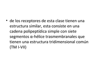 • de los receptores de esta clase tienen una 
estructura similar, esta consiste en una 
cadena polipeptídica simple con siete 
segmentos α-hélice trasmembranales que 
tienen una estructura tridimensional común 
(TM I-VII) 
 