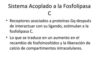 Sistema Acoplado a la Fosfolipasa 
C 
• Receptores asociados a proteínas Gq después 
de interactuar con su ligando, estimulan a la 
fosfolipasa C. 
• Lo que se traduce en un aumento en el 
recambio de fosfoinosítidos y la liberación de 
calcio de compartimentos intracelulares. 
 