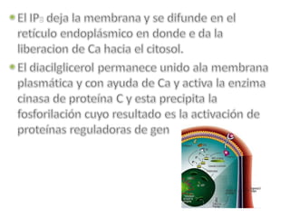 Biología VI y VII