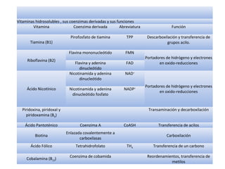 Vitaminas hidrosolubles , sus coenzimas derivadas y sus funciones 
Vitamina Coenzima derivada Abreviatura Función 
Tiamina (B1) 
Pirofosfato de tiamina TPP Descarboxilación y transferencia de 
grupos acilo. 
Riboflavina (B2) 
Flavina mononucleótido FMN 
Portadores de hidrógeno y electrones 
Flavina y adenina FAD 
en oxido-reducciones 
dinucleótido 
Ácido Nicotínico 
Nicotinamida y adenina 
dinucleótido 
NAD+ 
Portadores de hidrógeno y electrones 
en oxido-reducciones 
Nicotinamida y adenina 
dinucleótido fosfato 
NADP+ 
Piridoxina, piridoxal y 
piridoxamina (B6) 
Transaminación y decarboxilación 
Ácido Pantoténico Coenzima A CoASH Transferencia de acilos 
Biotina 
Enlazada covalentemente a 
carboxilasas 
Carboxilación 
Ácido Fólico Tetrahidrofolato TH4 Transferencia de un carbono 
Cobalamina (B12) Coenzima de cobamida Reordenamientos, transferencia de 
metilos 
 