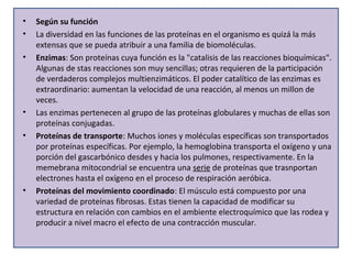• Según su función 
• La diversidad en las funciones de las proteínas en el organismo es quizá la más 
extensas que se pueda atribuir a una familia de biomoléculas. 
• Enzimas: Son proteínas cuya función es la "catalisis de las reacciones bioquímicas". 
Algunas de stas reacciones son muy sencillas; otras requieren de la participación 
de verdaderos complejos multienzimáticos. El poder catalítico de las enzimas es 
extraordinario: aumentan la velocidad de una reacción, al menos un millon de 
veces. 
• Las enzimas pertenecen al grupo de las proteínas globulares y muchas de ellas son 
proteínas conjugadas. 
• Proteínas de transporte: Muchos iones y moléculas específicas son transportados 
por proteínas específicas. Por ejemplo, la hemoglobina transporta el oxígeno y una 
porción del gascarbónico desdes y hacia los pulmones, respectivamente. En la 
memebrana mitocondrial se encuentra una serie de proteínas que trasnportan 
electrones hasta el oxígeno en el proceso de respiración aeróbica. 
• Proteínas del movimiento coordinado: El músculo está compuesto por una 
variedad de proteínas fibrosas. Estas tienen la capacidad de modificar su 
estructura en relación con cambios en el ambiente electroquímico que las rodea y 
producir a nivel macro el efecto de una contracción muscular. 
 