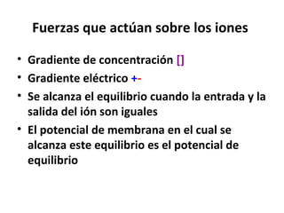 Fuerzas que actúan sobre los iones 
• Gradiente de concentración [] 
• Gradiente eléctrico +- 
• Se alcanza el equilibrio cuando la entrada y la 
salida del ión son iguales 
• El potencial de membrana en el cual se 
alcanza este equilibrio es el potencial de 
equilibrio 
 
