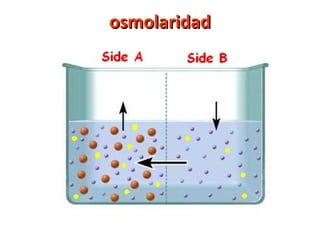 oossmmoollaarriiddaadd 
 